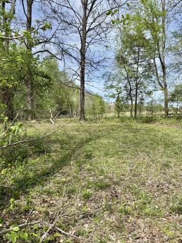 562 Junus Jackson Hollow Road Minor Hill TN 38473