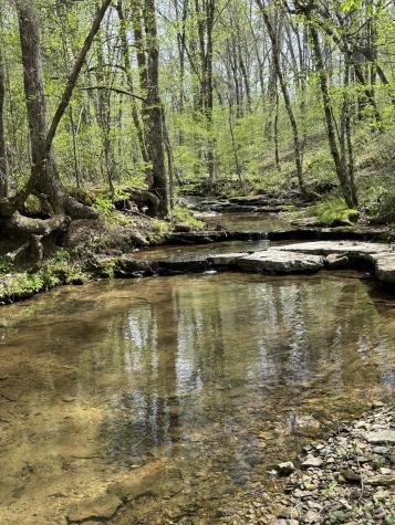 562 Junus Jackson Hollow Road Minor Hill TN 38473