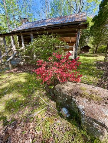 562 Junus Jackson Hollow Road Minor Hill TN 38473
