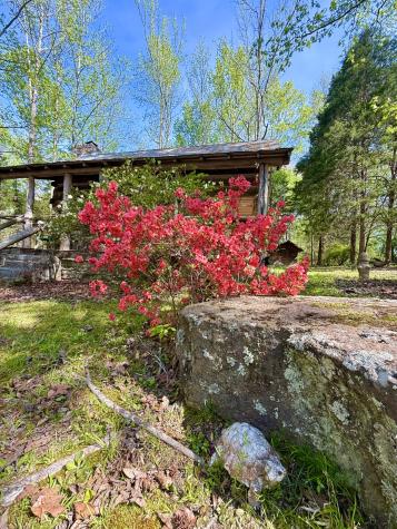 562 Junus Jackson Hollow Road Minor Hill TN 38473