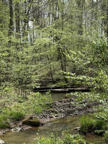 562 Junus Jackson Hollow Road Minor Hill TN 38473