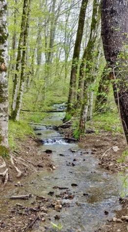 562 Junus Jackson Hollow Road Minor Hill TN 38473