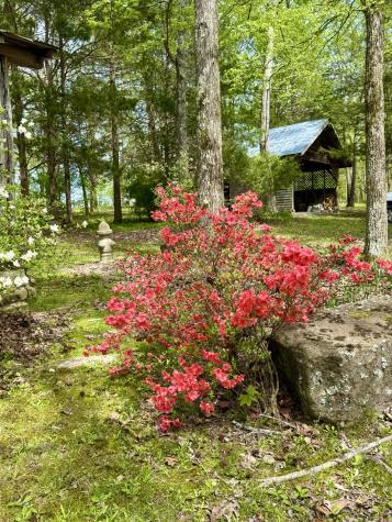562 Junus Jackson Hollow Road Minor Hill TN 38473
