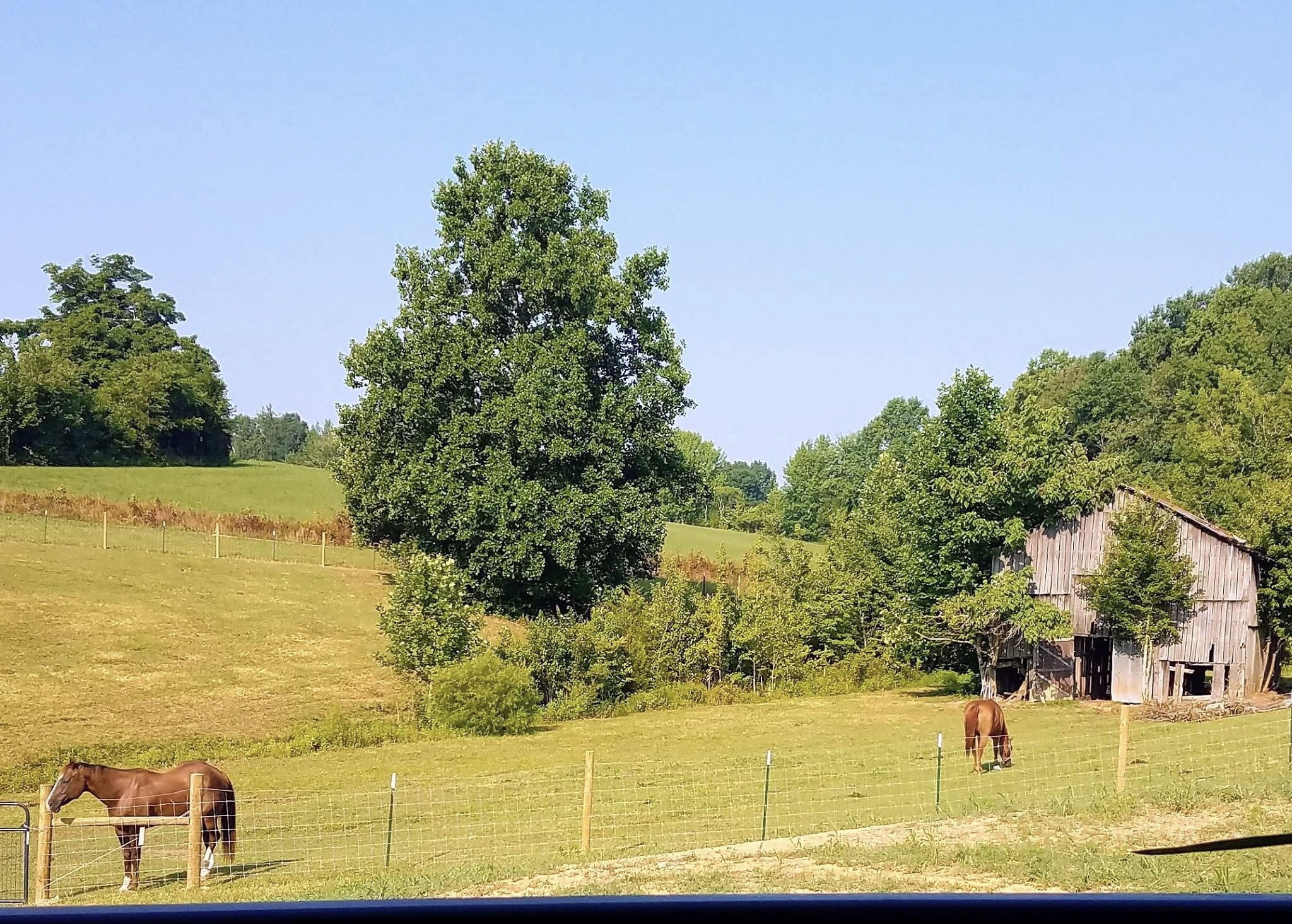 1631A Rock Bridge Road Bethpage TN 37022