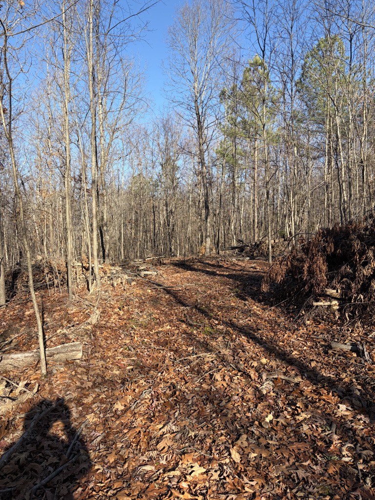 0 Hatley Road Lyles TN 37098