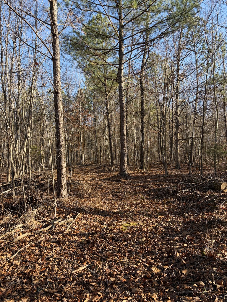 0 Hatley Road Lyles TN 37098