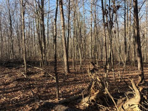 0 Hatley Road Lyles TN 37098
