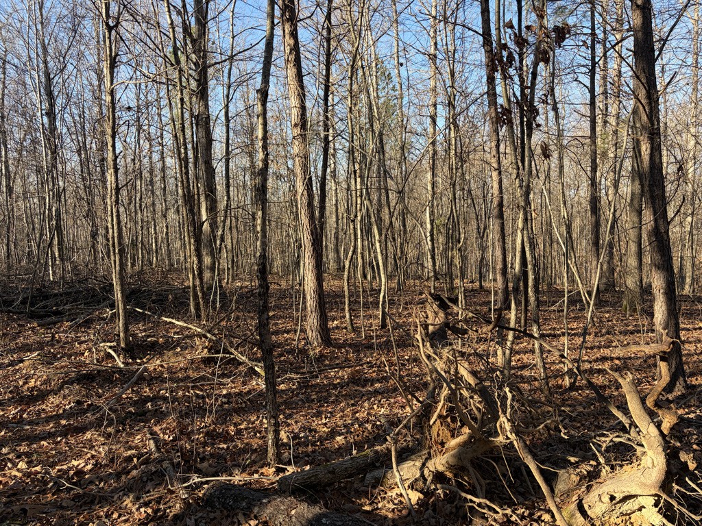 0 Hatley Road Lyles TN 37098