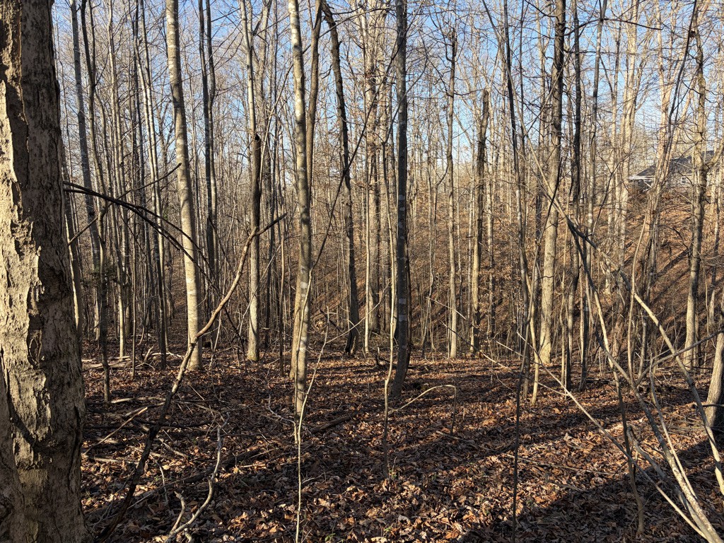 0 Hatley Road Lyles TN 37098