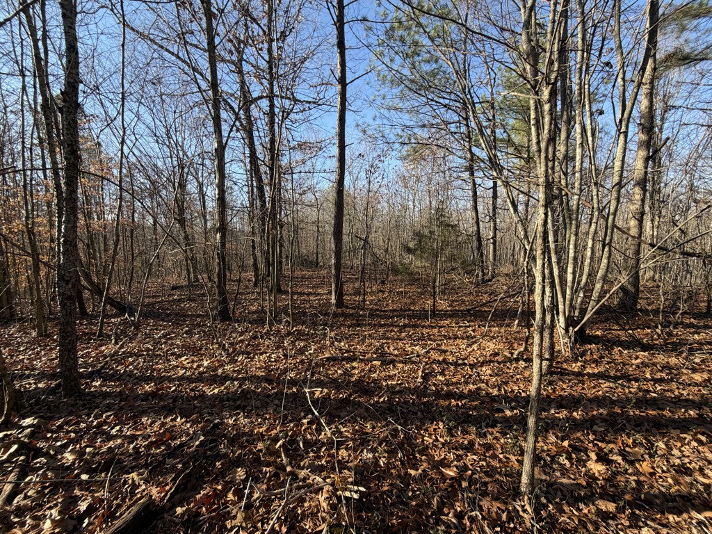 0 Hatley Road Lyles TN 37098