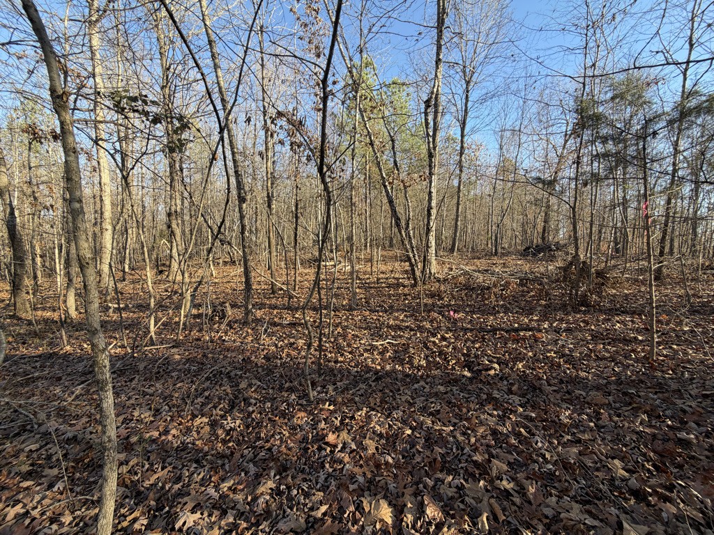 0 Hatley Road Lyles TN 37098
