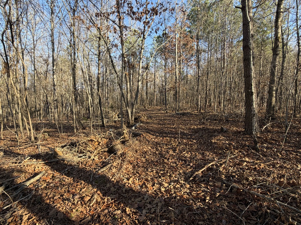 0 Hatley Road Lyles TN 37098