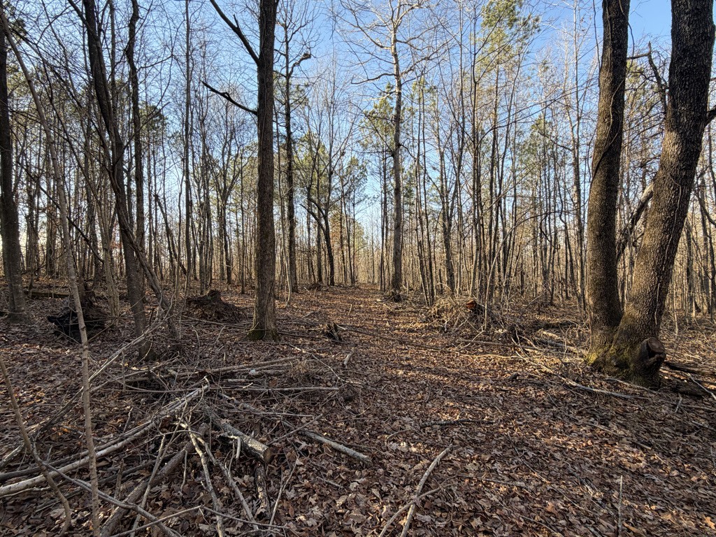 0 Hatley Road Lyles TN 37098