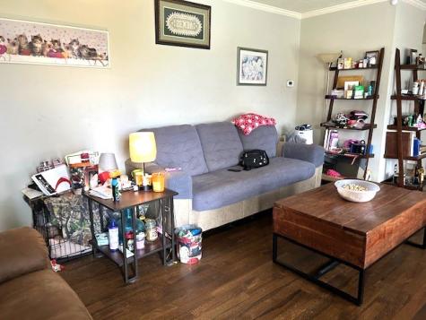 102 Cofer Drive Springfield TN 37172