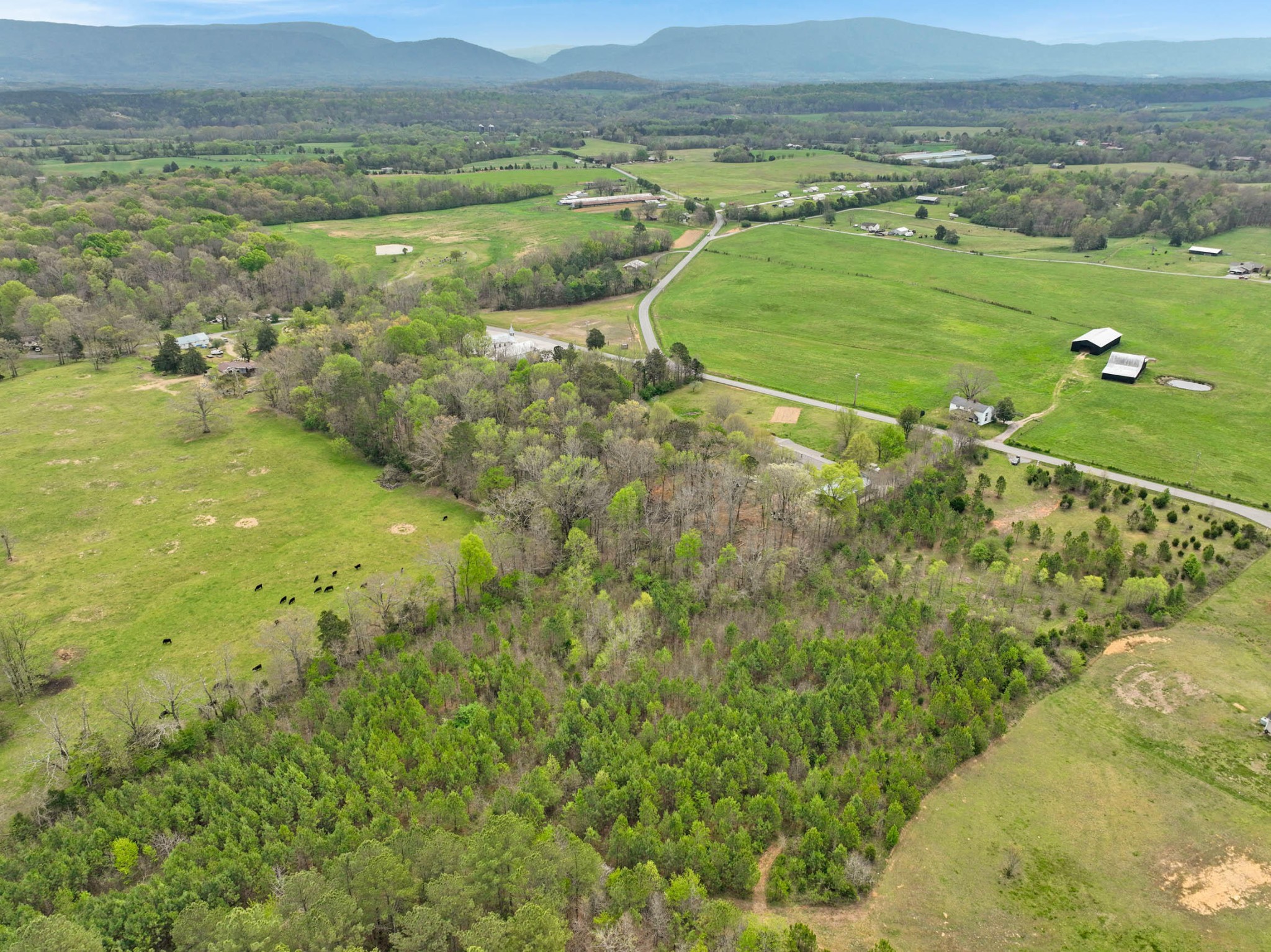 329 County Road 775 Riceville TN 37370