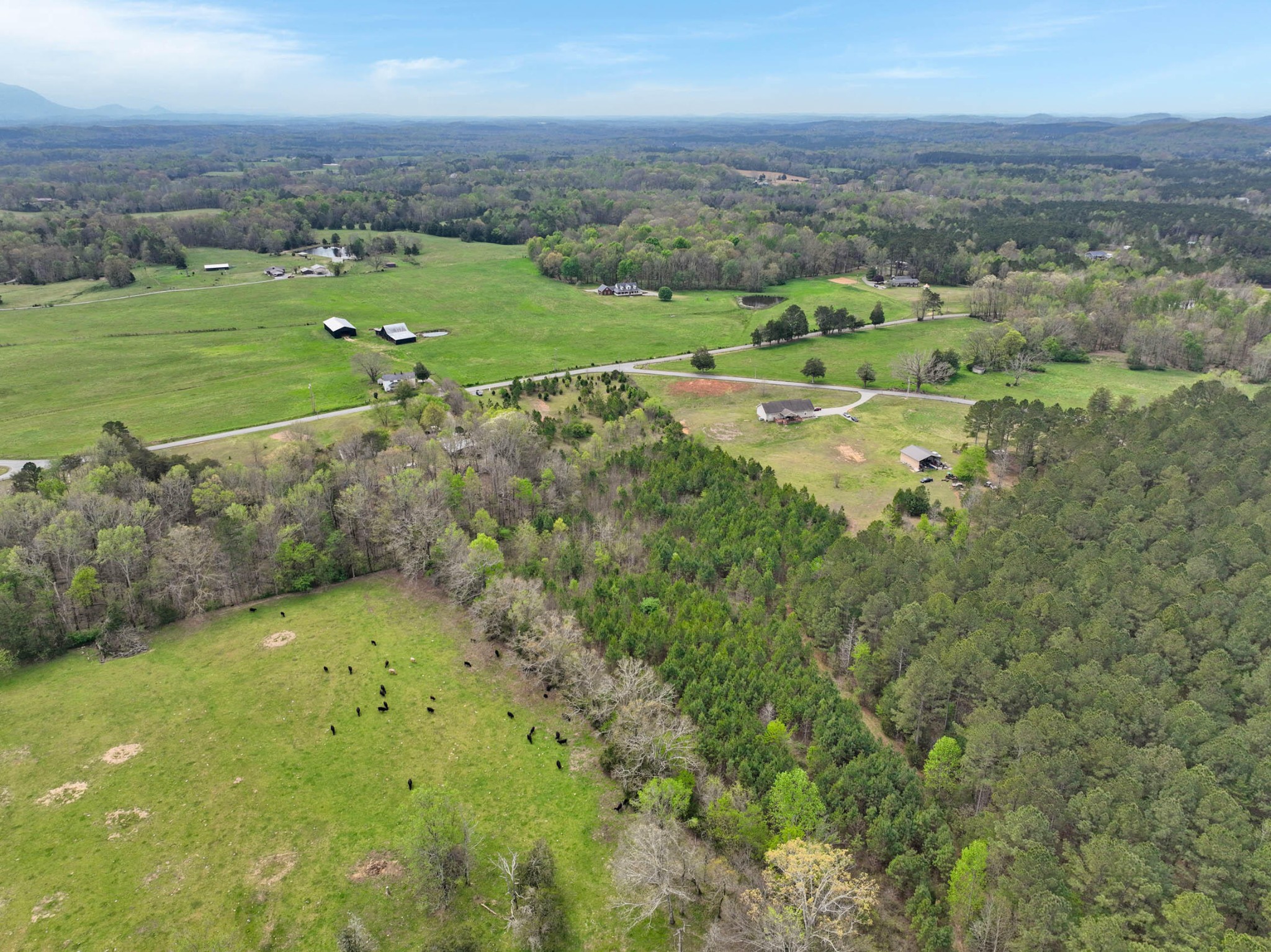 329 County Road 775 Riceville TN 37370