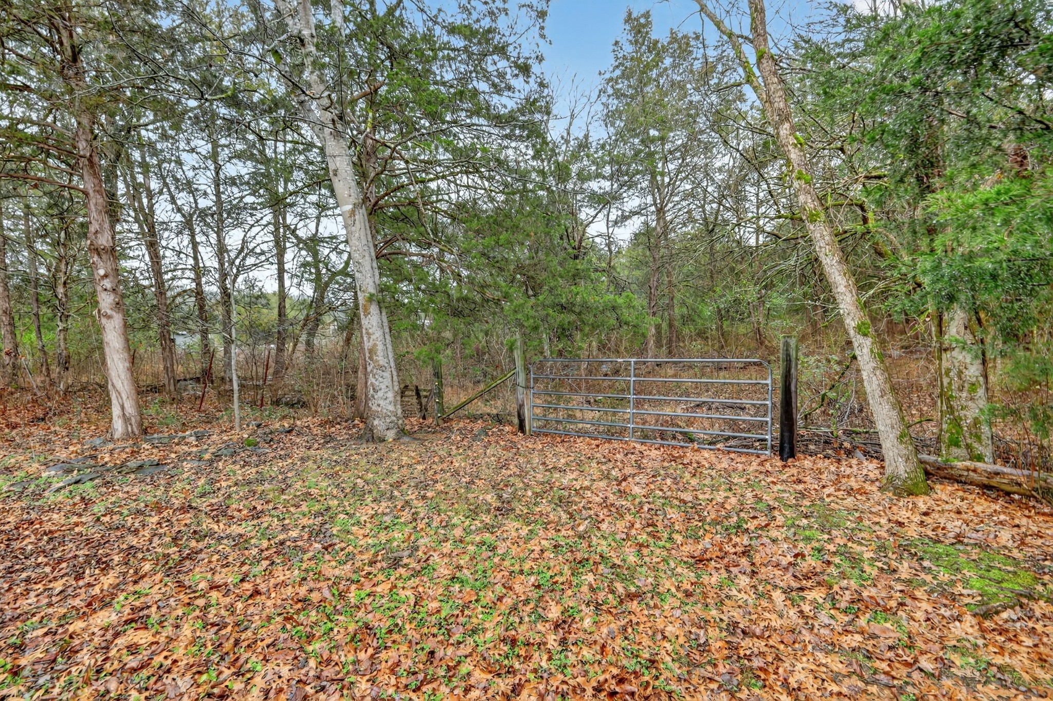 5815 Bradyville Road Bradyville TN 37026