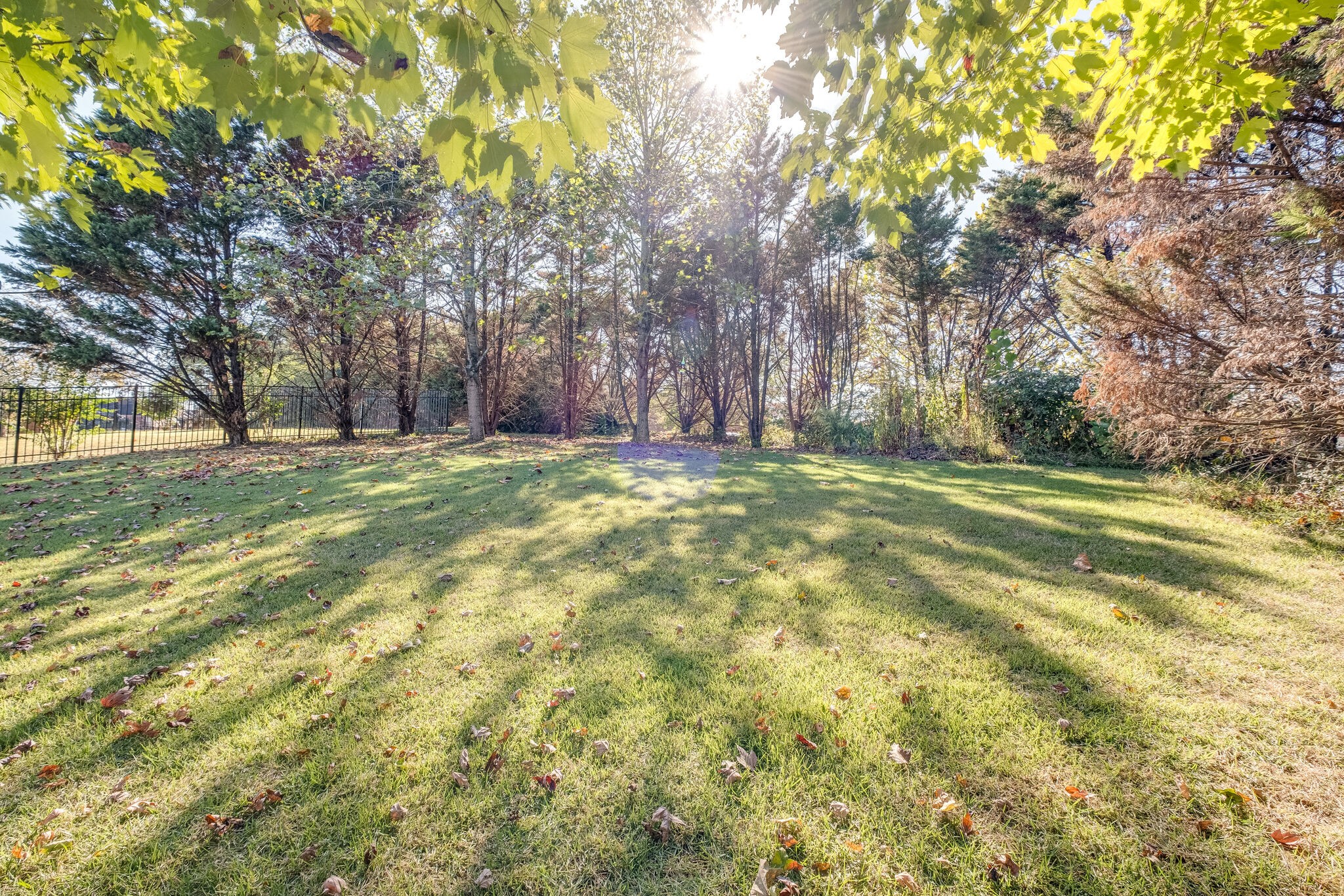 6036 Hagars Grove Pass Hermitage TN 37076