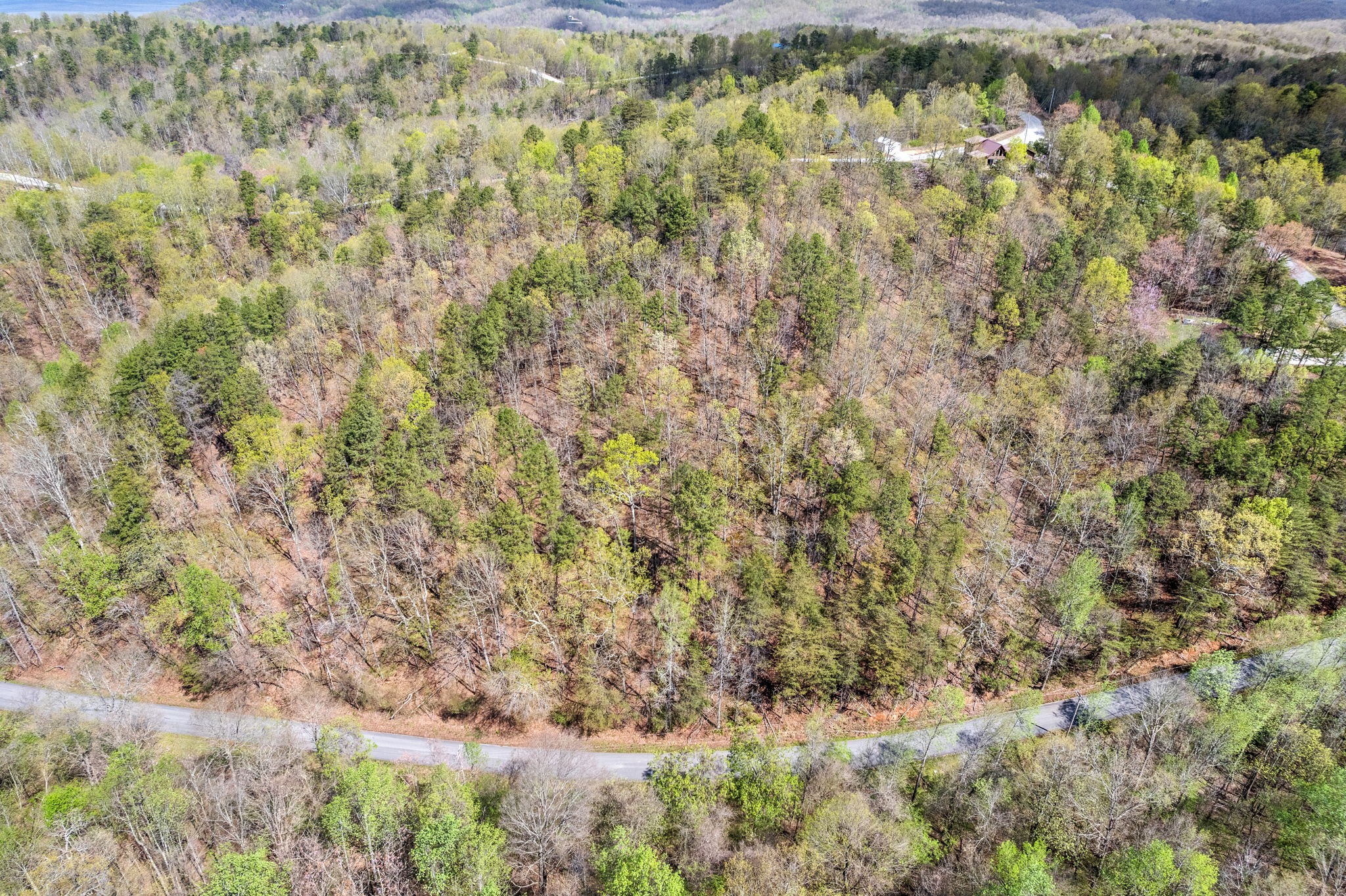 81 Crest Court Waverly TN 37185