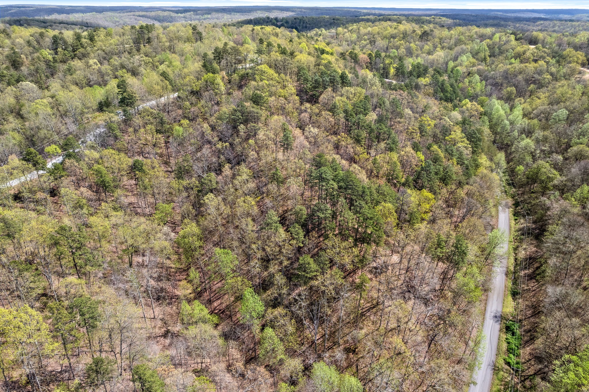 81 Crest Court Waverly TN 37185