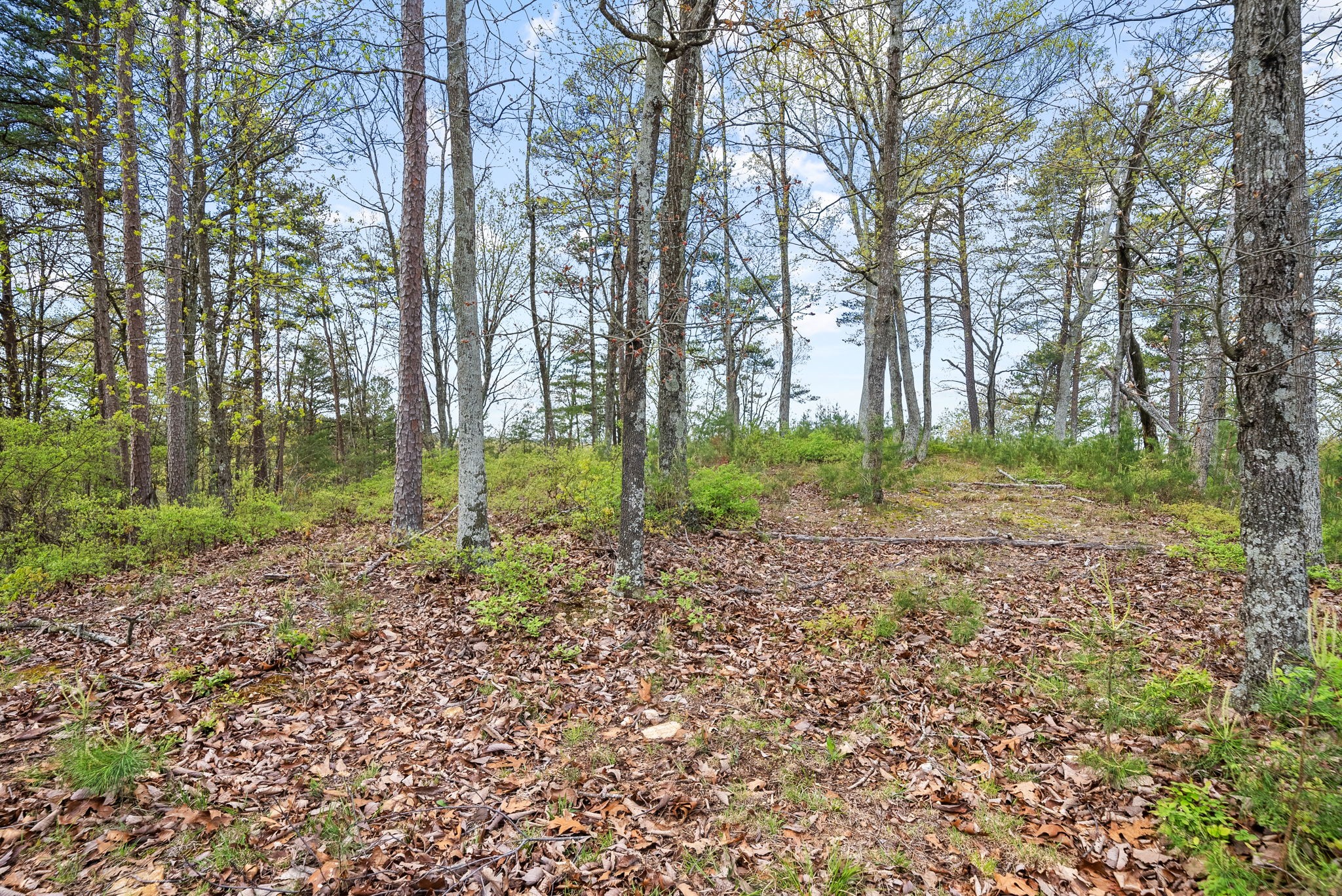 81 Crest Court Waverly TN 37185
