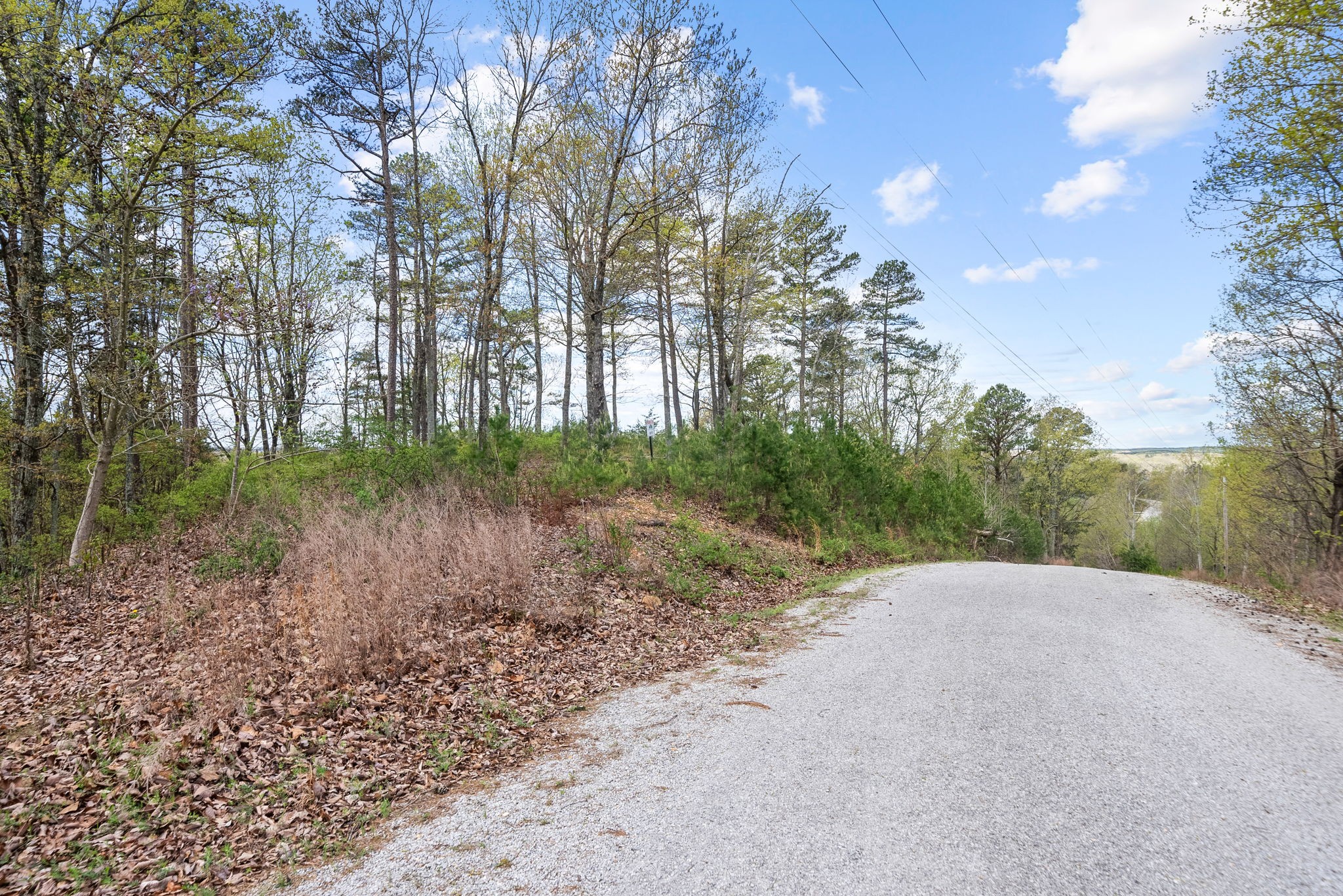 81 Crest Court Waverly TN 37185
