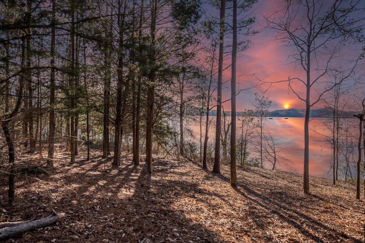 0 Castaway Lot 76 Lane Jasper TN 37347