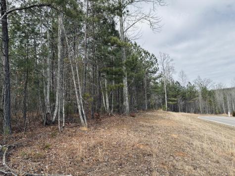 0 Raulston Falls Road Jasper TN 37347