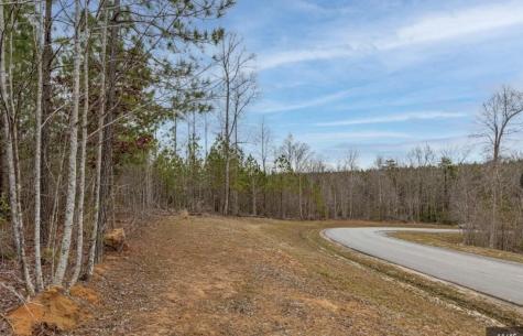 0 Raulston Falls Road Jasper TN 37347