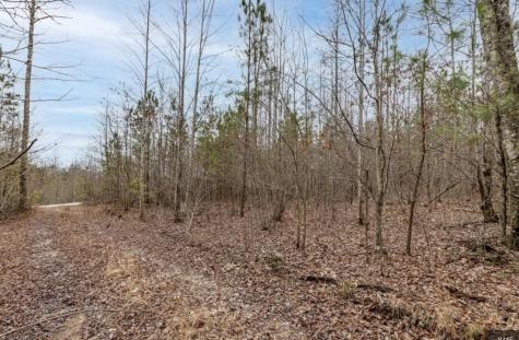 0 Raulston Falls Road Jasper TN 37347