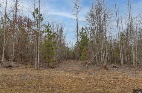 0 Raulston Falls Road Jasper TN 37347