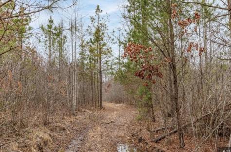 0 Raulston Falls Road Jasper TN 37347