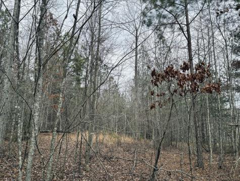 0 Raulston Falls Road Jasper TN 37347