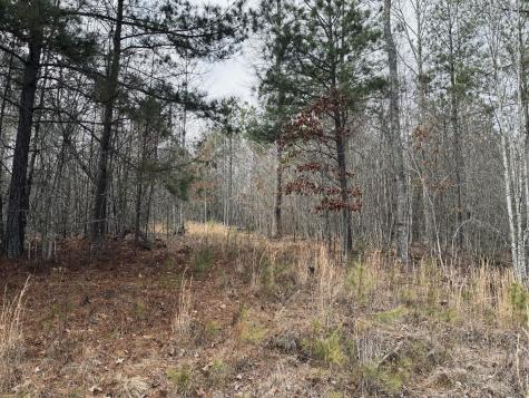 0 Raulston Falls Road Jasper TN 37347