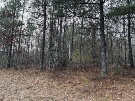 0 Raulston Falls Road Jasper TN 37347