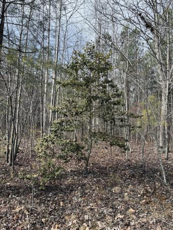 0 Raulston Falls Road Jasper TN 37347