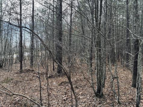 0 Raulston Falls Road Jasper TN 37347