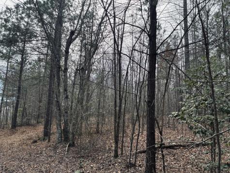 0 Raulston Falls Road Jasper TN 37347