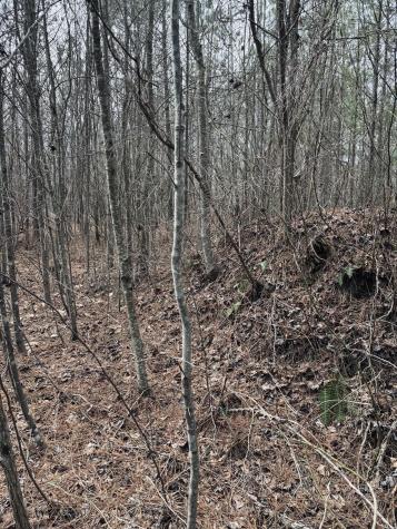 0 Raulston Falls Road Jasper TN 37347