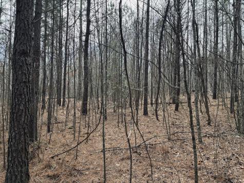0 Raulston Falls Road Jasper TN 37347