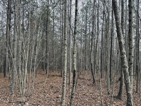 0 Raulston Falls Road Jasper TN 37347