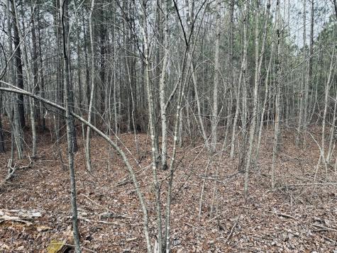 0 Raulston Falls Road Jasper TN 37347