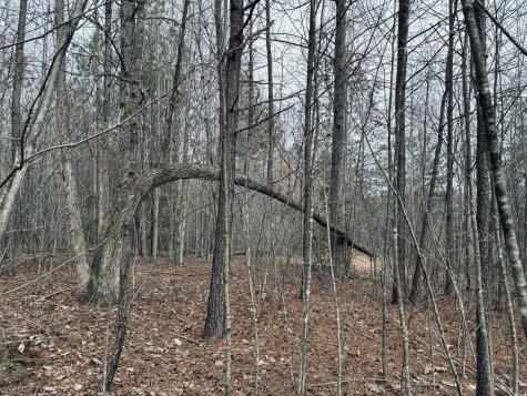 0 Raulston Falls Road Jasper TN 37347