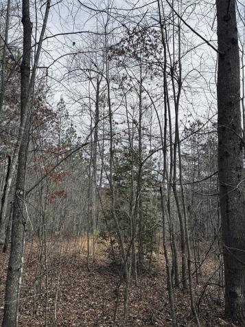 0 Raulston Falls Road Jasper TN 37347