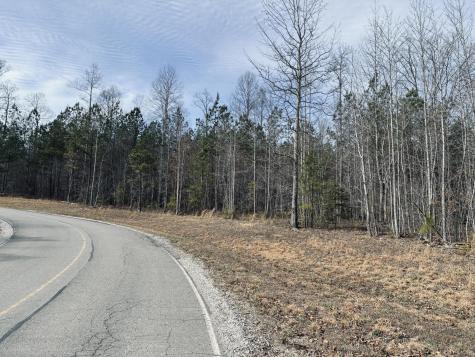 0 Raulston Falls Road Jasper TN 37347