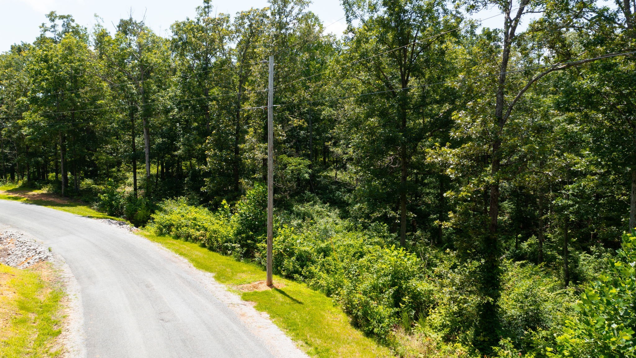 0 Ridgewood Drive Mc Ewen TN 37101