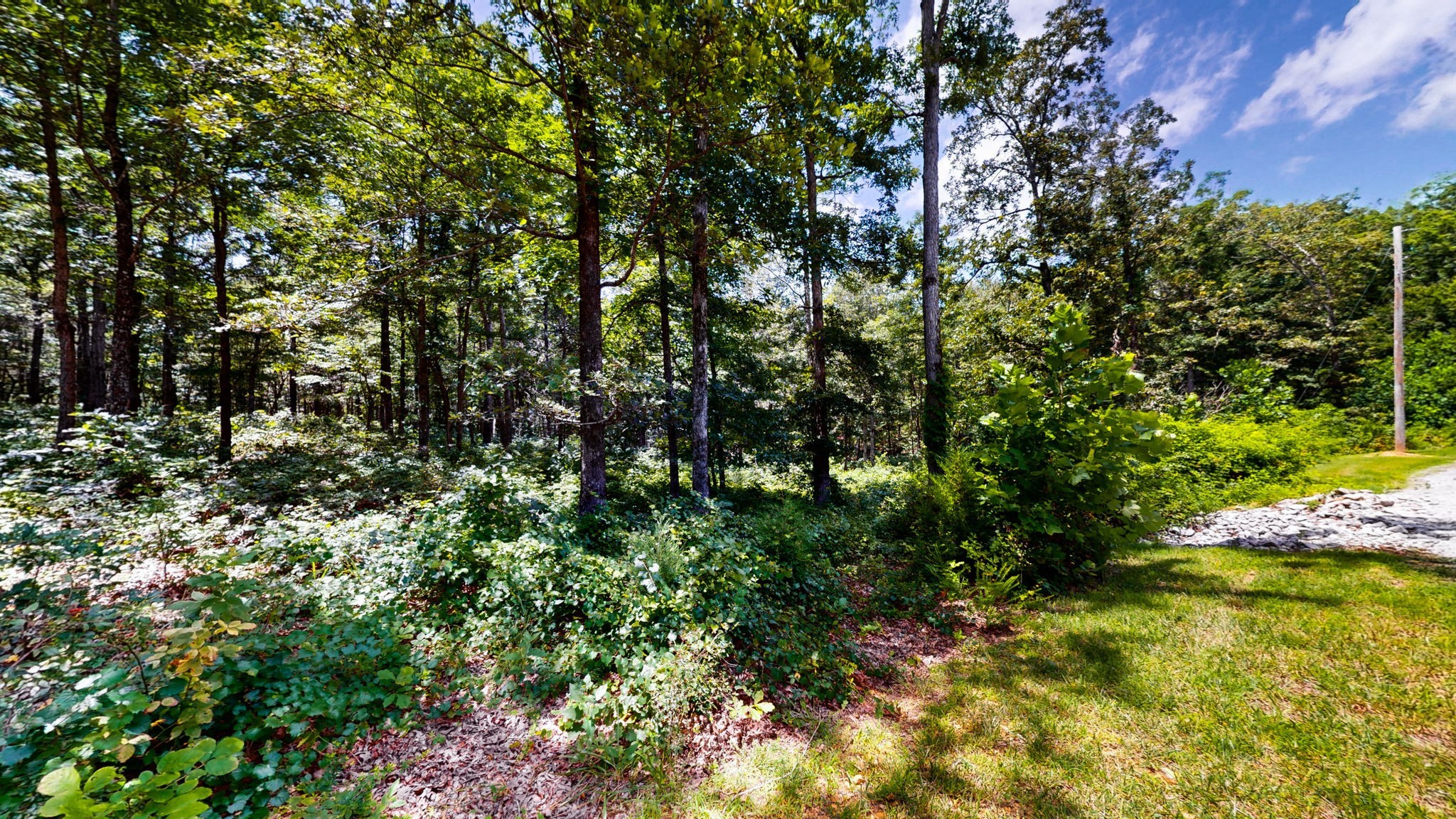 0 Ridgewood Drive Mc Ewen TN 37101