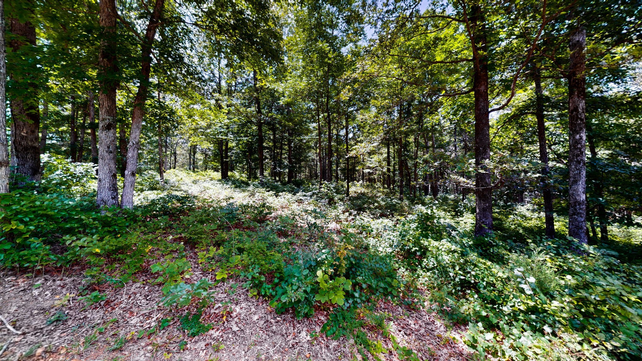 0 Ridgewood Drive Mc Ewen TN 37101