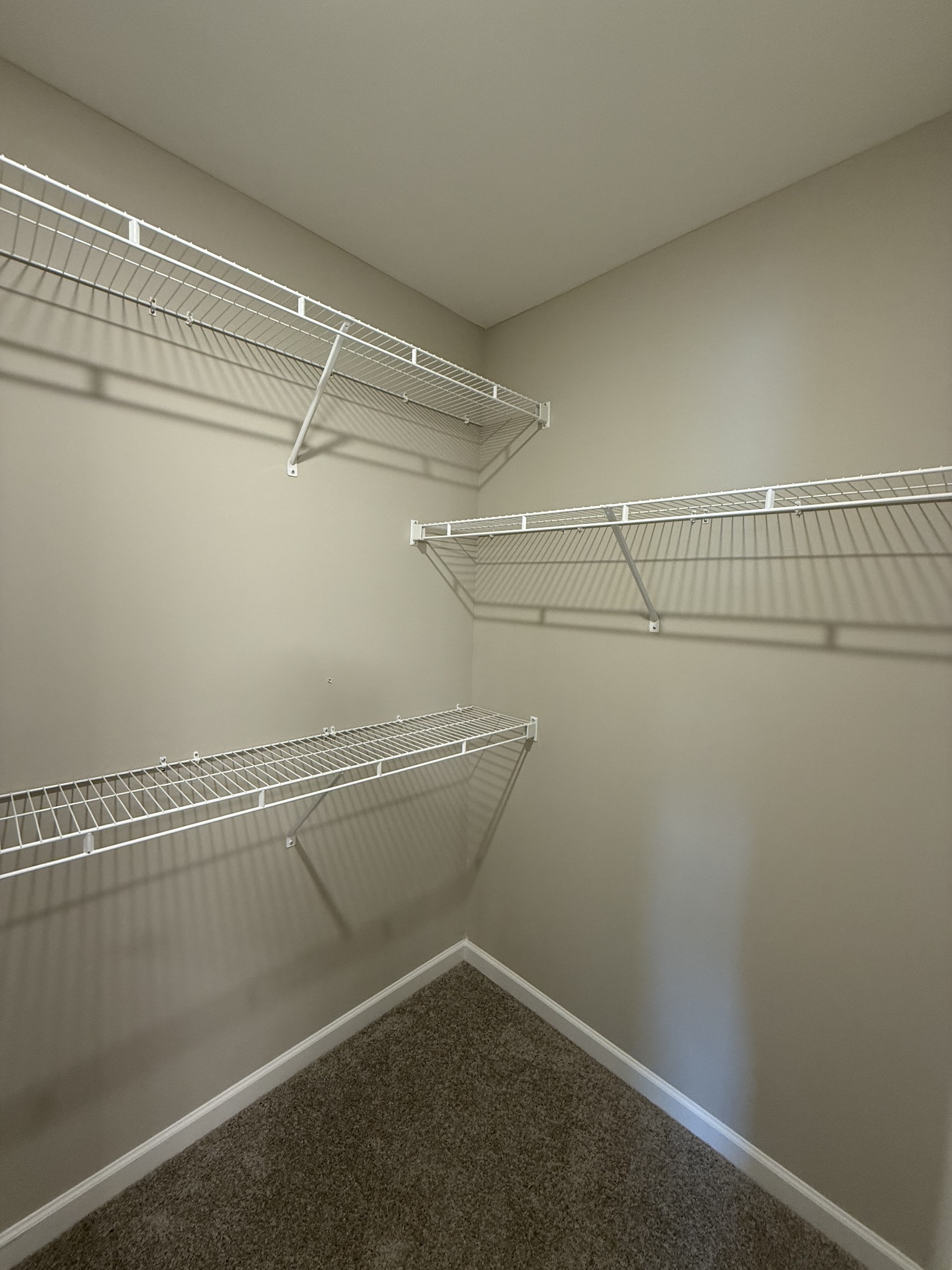 270 Selesia Lane Pleasant View TN 37146