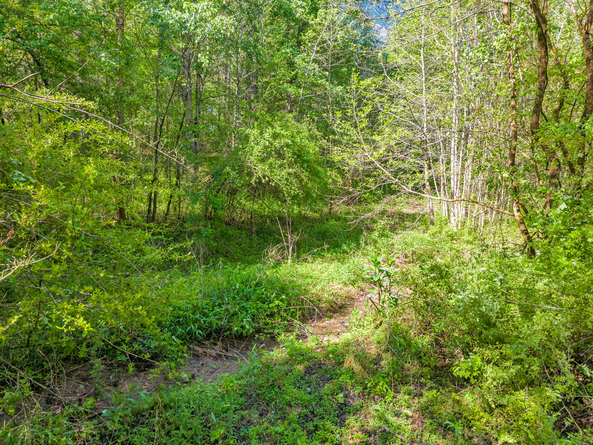 6 Cane Creek Road Cookeville TN 38506